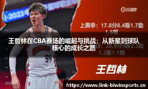 王哲林在CBA赛场的崛起与挑战：从新星到球队核心的成长之路